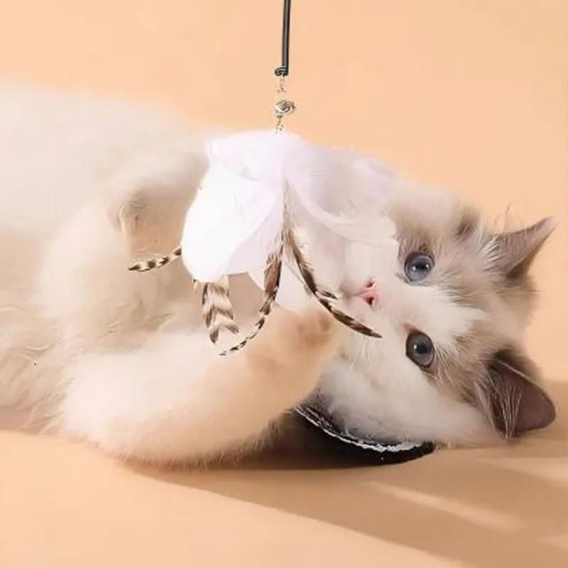 Игрушки-для-кошек-(1)