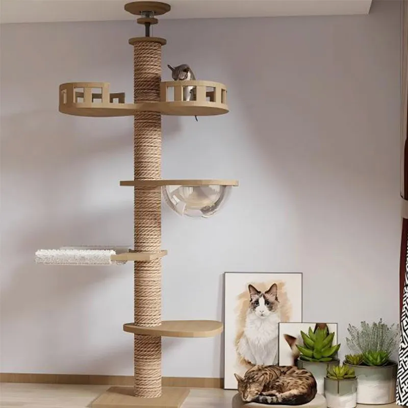 Кошачьи деревья (2)